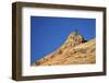 Tree Atop a Sandstone Hill, Zion National Park, Utah, United States of America, North America-James Hager-Framed Photographic Print