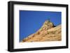 Tree Atop a Sandstone Hill, Zion National Park, Utah, United States of America, North America-James Hager-Framed Photographic Print