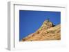 Tree Atop a Sandstone Hill, Zion National Park, Utah, United States of America, North America-James Hager-Framed Photographic Print