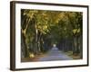 Tree Avenue in Fall, Senne, Nordrhein Westfalen (North Rhine Westphalia), Germany, Europe-Thorsten Milse-Framed Photographic Print