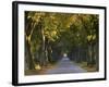 Tree Avenue in Fall, Senne, Nordrhein Westfalen (North Rhine Westphalia), Germany, Europe-Thorsten Milse-Framed Photographic Print