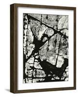 Tree Bark, 1970-Brett Weston-Framed Photographic Print