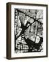 Tree Bark, 1970-Brett Weston-Framed Photographic Print