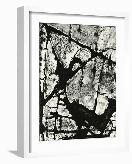 Tree Bark, 1970-Brett Weston-Framed Photographic Print