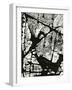 Tree Bark, 1970-Brett Weston-Framed Photographic Print