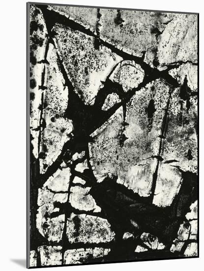 Tree Bark, 1970-Brett Weston-Mounted Photographic Print