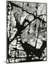 Tree Bark, 1970-Brett Weston-Mounted Photographic Print