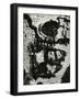 Tree Bark, 1972-Brett Weston-Framed Photographic Print