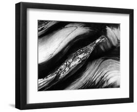 Tree Bark, 1977-Brett Weston-Framed Photographic Print