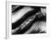 Tree Bark, 1977-Brett Weston-Framed Photographic Print