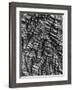 Tree Bark, c. 1950-Brett Weston-Framed Photographic Print