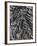 Tree Bark, c. 1950-Brett Weston-Framed Photographic Print