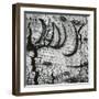 Tree Bark, c. 1970-Brett Weston-Framed Photographic Print