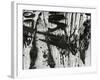 Tree Bark, c. 1970-Brett Weston-Framed Photographic Print