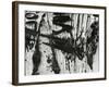 Tree Bark, c. 1970-Brett Weston-Framed Photographic Print