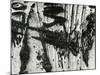 Tree Bark, c. 1970-Brett Weston-Mounted Photographic Print