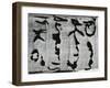 Tree Bark, c. 1970-Brett Weston-Framed Premium Photographic Print