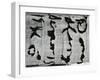 Tree Bark, c. 1970-Brett Weston-Framed Premium Photographic Print