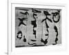 Tree Bark, c. 1970-Brett Weston-Framed Photographic Print