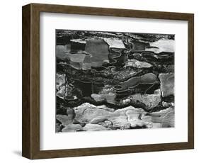 Tree Bark, c.1970-Brett Weston-Framed Photographic Print