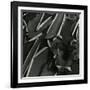 Tree Bark, c.1975-Brett Weston-Framed Photographic Print