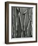 Tree Bark, c.1975-Brett Weston-Framed Photographic Print