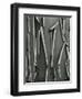 Tree Bark, c.1975-Brett Weston-Framed Photographic Print