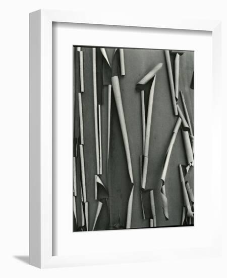 Tree Bark, c.1975-Brett Weston-Framed Photographic Print