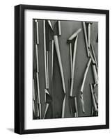 Tree Bark, c.1975-Brett Weston-Framed Photographic Print