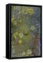 Tree Bark with Moss and Lichen-Anna Miller-Framed Stretched Canvas