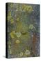 Tree Bark with Moss and Lichen-Anna Miller-Stretched Canvas