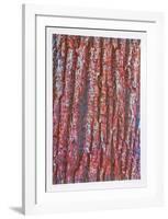 Tree Bark-Max Epstein-Framed Limited Edition