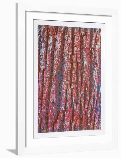 Tree Bark-Max Epstein-Framed Limited Edition
