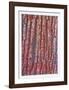 Tree Bark-Max Epstein-Framed Limited Edition