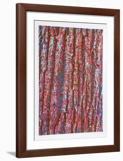 Tree Bark-Max Epstein-Framed Limited Edition