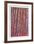 Tree Bark-Max Epstein-Framed Limited Edition