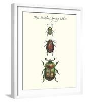 Tree Beetles-Maria Mendez-Framed Giclee Print