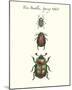 Tree Beetles-Maria Mendez-Mounted Giclee Print