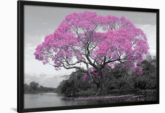 Tree - Blossom-null-Lamina Framed Poster