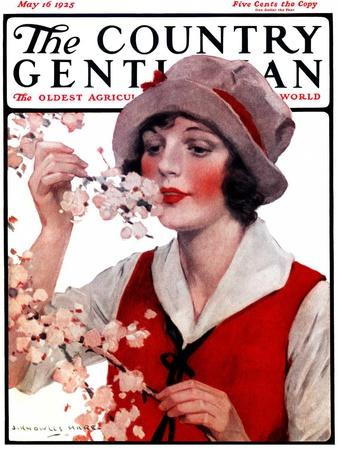 https://imgc.allpostersimages.com/img/posters/tree-blossoms-country-gentleman-cover-may-16-1925_u-L-Q1HYK920.jpg?artPerspective=n