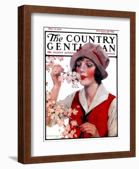 "Tree Blossoms," Country Gentleman Cover, May 16, 1925-J. Knowles Hare-Framed Giclee Print