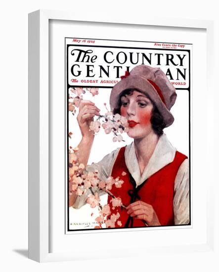 "Tree Blossoms," Country Gentleman Cover, May 16, 1925-J. Knowles Hare-Framed Giclee Print