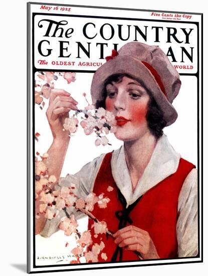 "Tree Blossoms," Country Gentleman Cover, May 16, 1925-J. Knowles Hare-Mounted Giclee Print