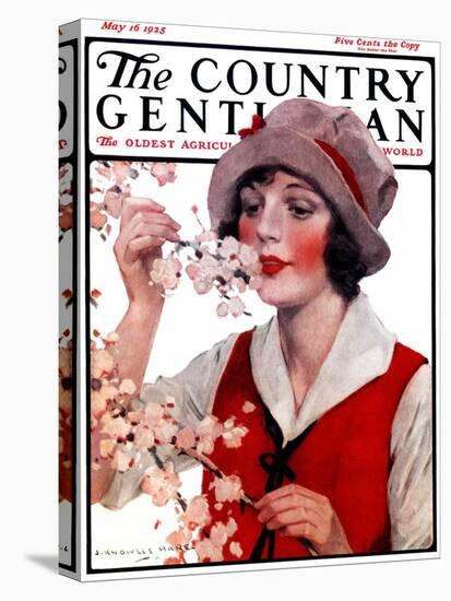 "Tree Blossoms," Country Gentleman Cover, May 16, 1925-J. Knowles Hare-Stretched Canvas