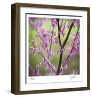 Tree Blossoms-Ken Bremer-Framed Limited Edition