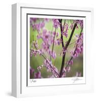 Tree Blossoms-Ken Bremer-Framed Limited Edition