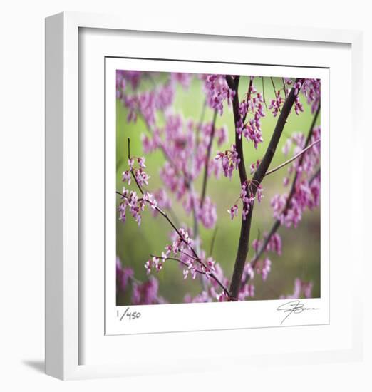 Tree Blossoms-Ken Bremer-Framed Limited Edition