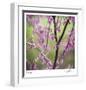 Tree Blossoms-Ken Bremer-Framed Limited Edition