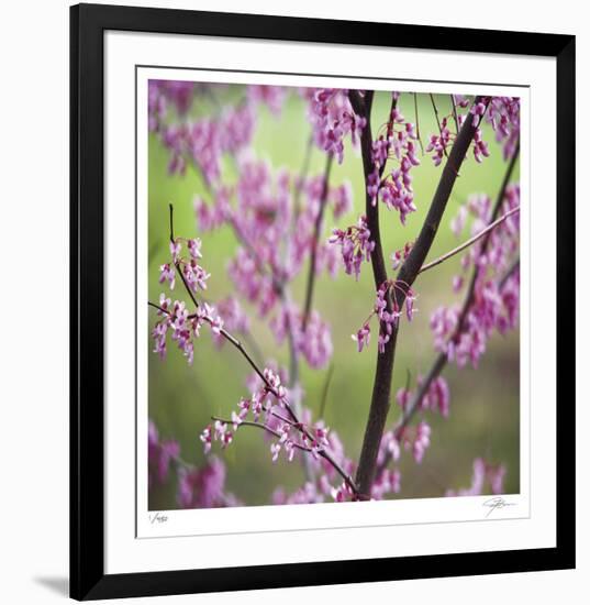 Tree Blossoms-Ken Bremer-Framed Limited Edition