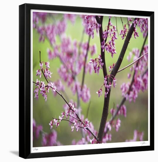 Tree Blossoms-Ken Bremer-Framed Limited Edition